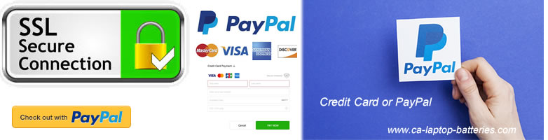 Payment information, We accept paypal and visa, Master card