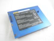Canada Genuine CLEVO D900TBAT Laptop Computer Battery D900TBAT-12 Li-ion 6600mAh Blue